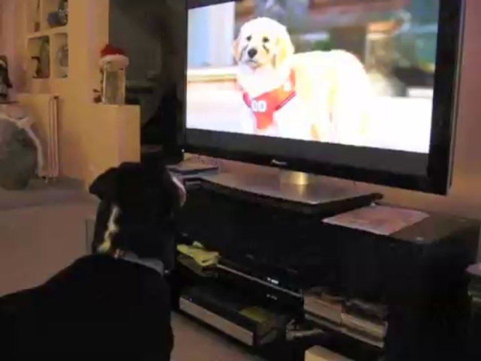 Houba regarde un DVD