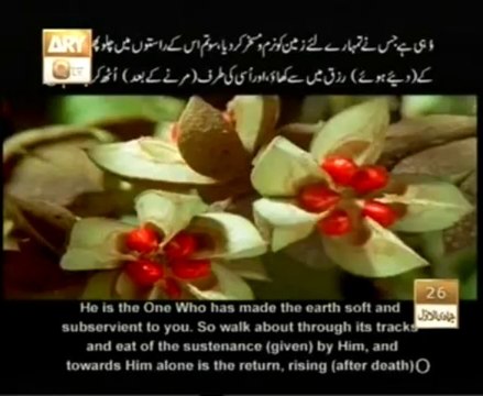 Surah Al Mulk Beautiful Recitation With urdu Translation Surah Mulk QTV