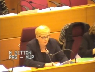 Budget 2014 - Région IDF - Culture - Intervention de Mireille GITTON