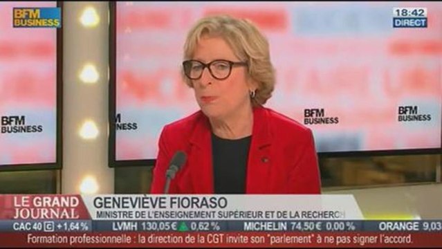 Geneviève Fioraso, la ministre de l'Enseignement supérieur et de la Recherche, dans Le Grand Journal - 19/12 3/4