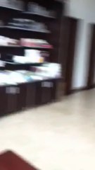 SPATIU INDUSTRIAL ILFOV