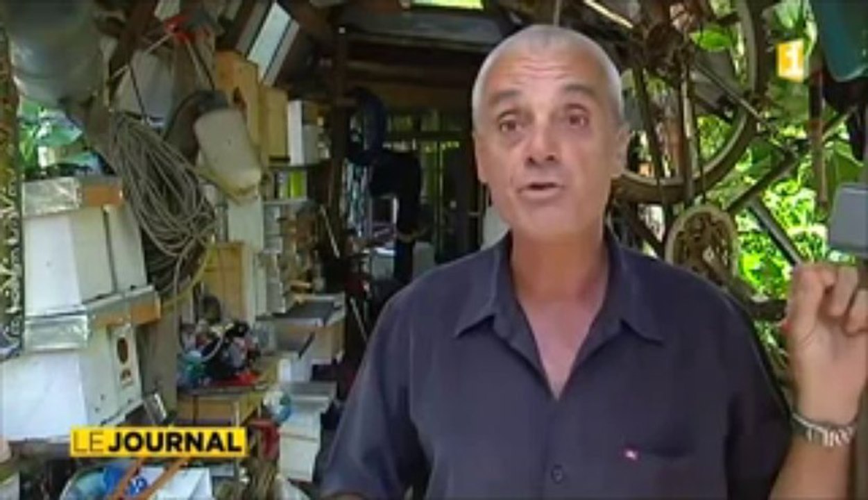 Les apiculteurs refusent l’épandage d’insecticides pour lutter contre les moustiques