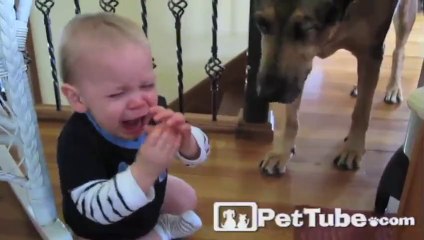 Baby Bryce and the Disappearing Cheese Puff