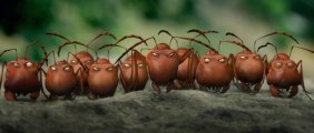 MINUSCULE La Vallée des fourmis Perdues Bande Annonce (2014)