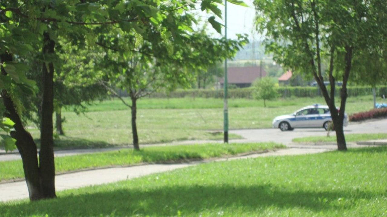 PONAD_PRAWEM