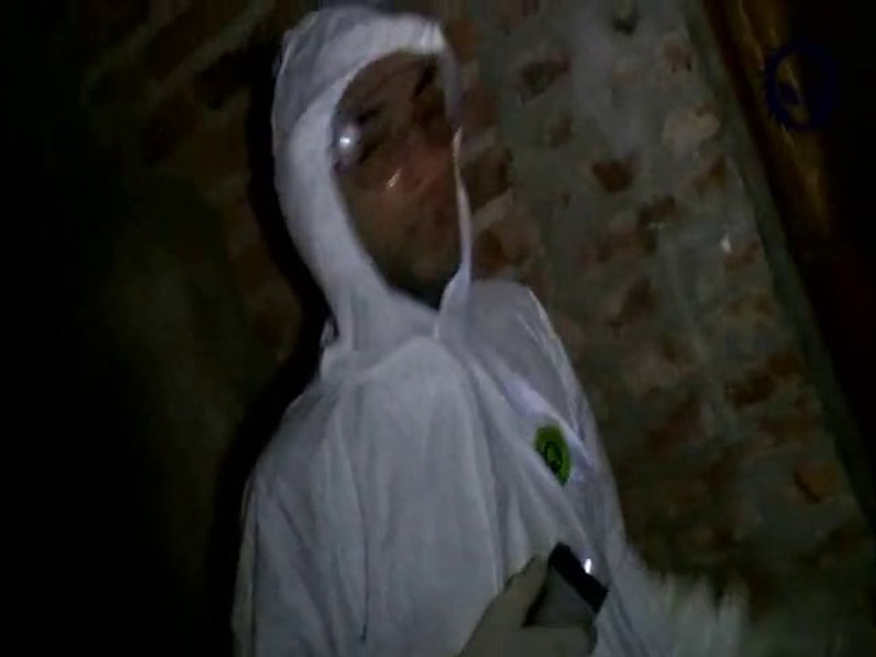 Extraterrestre 100% real atrapado en una casa - 100% REAL ALIEN