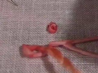 How To Make Twirled Ribbon Rose By Hot Desi Video