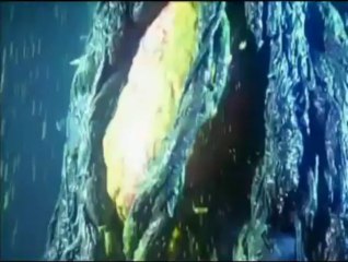 GODZILLA vs. BIOLLANTE [First Fight] [100% - FULL]