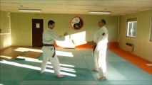 Nihon tai jitsu: exemple de défense contre tsuki