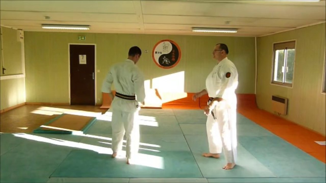 nihon tai jitsu: exemple de défenses contre poing
