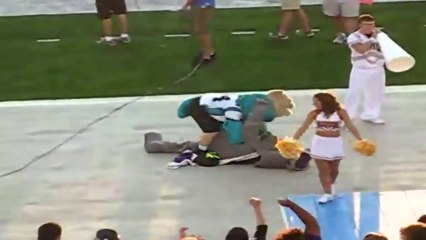 Les plus grosses bastons dans le sport... même les mascottes s'y mettent !!