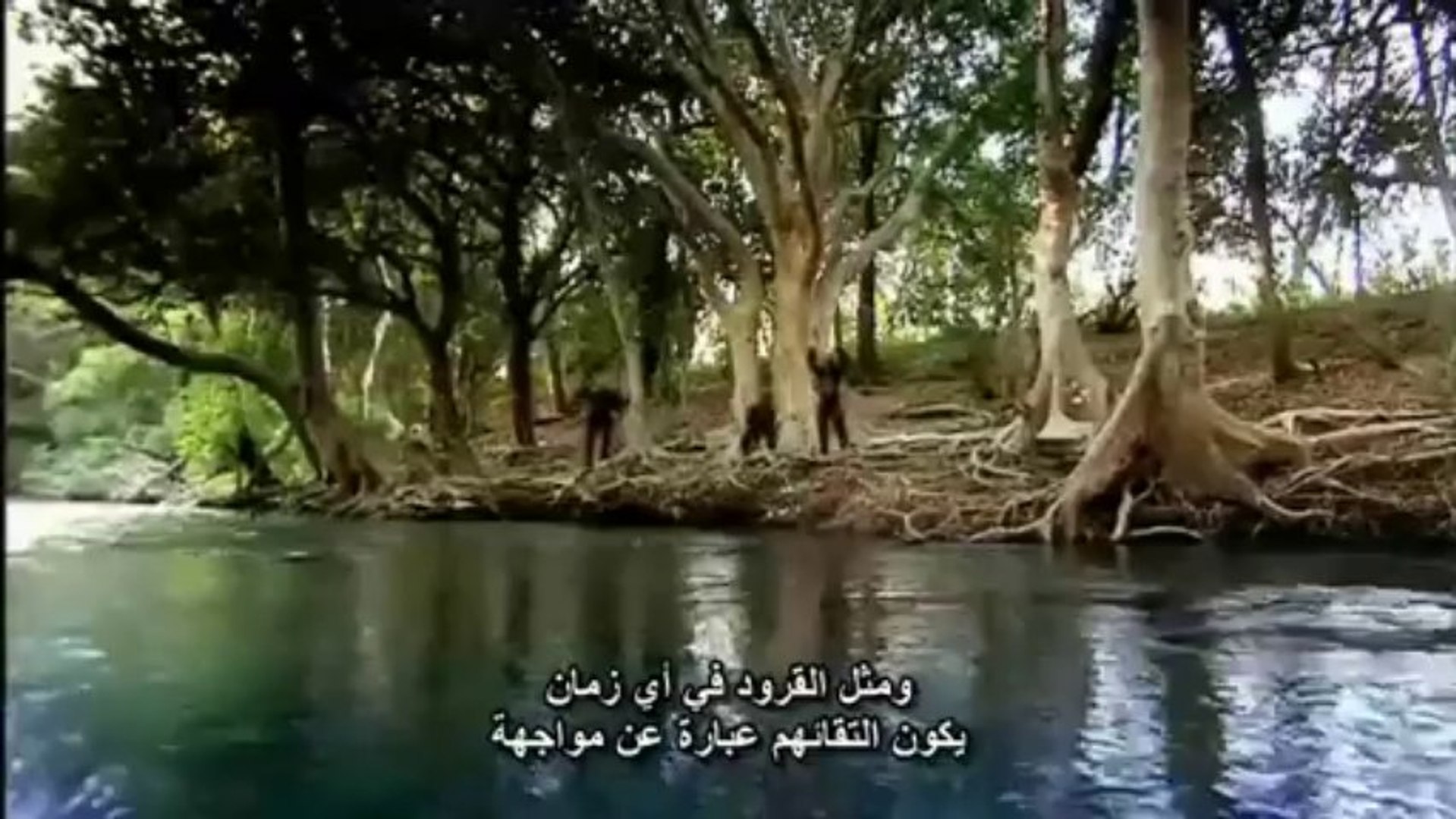 المشي مع رجل الكهف الحلقة الاولى Video Dailymotion