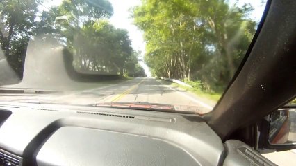 Coffee run with a Turbo Pulsar nx