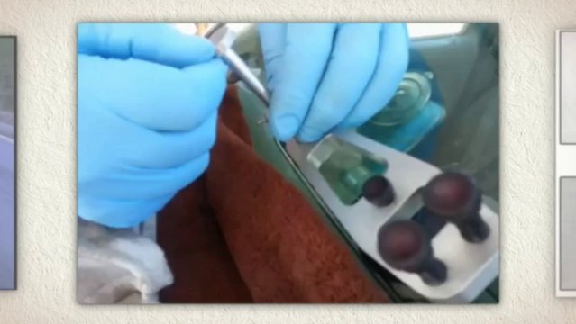 chipped windshield repair & repair windshield chip Demver