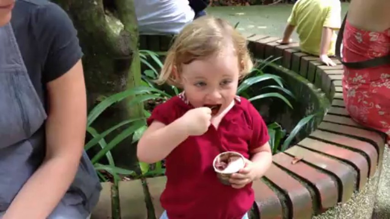 Pause glace
