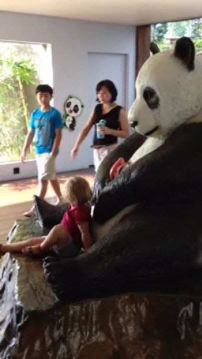 Pandi, Panda!