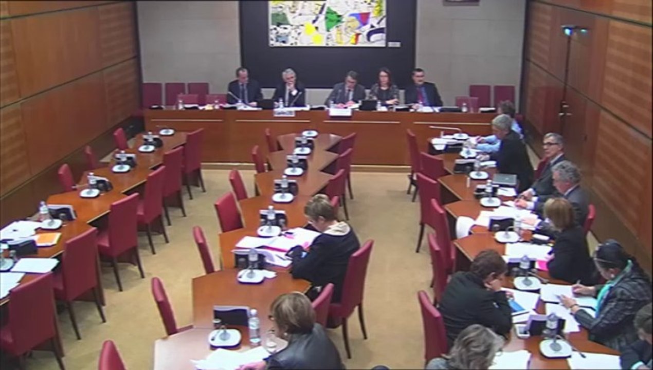 COMMISSION DES AFFAIRES CULTURELLES 4 DECEMBRE- AVENIR DE L'AGRICULTURE, L'ALIMENTATION ET LA FORET (avis)