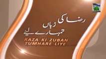 Raza Ki Zuban Tumharay Liye Ep 07 - Seerat e Hasanain Kareemen o Fatima Zahra