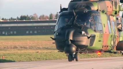 Un caïman et un tigre, nouvelle génération