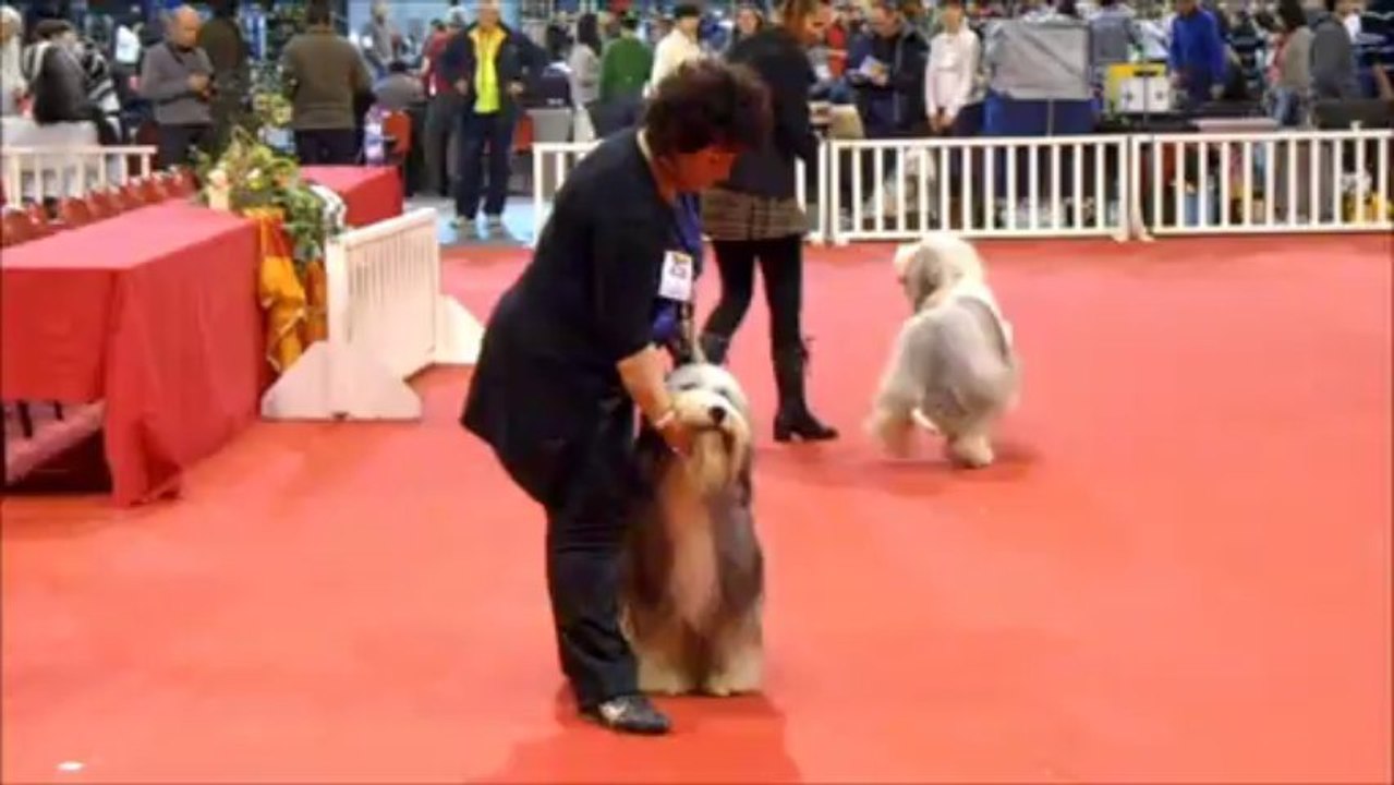 Leroy (Heroes Of Sheytane) expo martigues