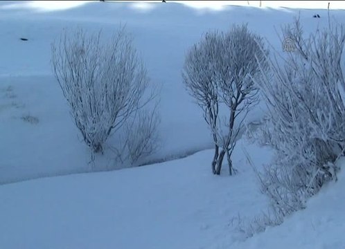 Sarıkamış'ta 3 Metreyi Bulan Buz Sarkıtları Oluştu