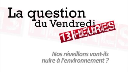 Nos réveillons vont-ils nuire à l'environnement ?