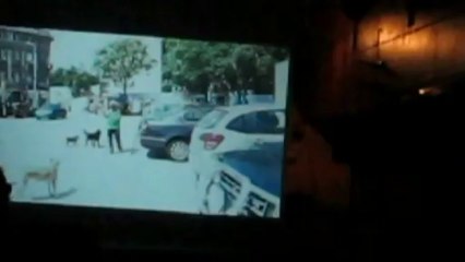 MEREJ PENICHE CINEMA