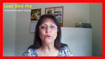 ACN Review - Why members fail in ACN.