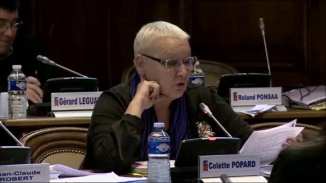 Colette POPARD. Explication de vote. Subventions aux partenaires des politiques sociales. Session de decembre 2013.