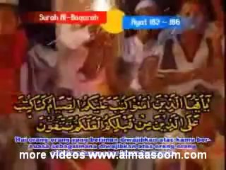 qari Muammar za 'Al baqarah