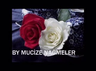 Ayfer Er - Ne Haldeyim...