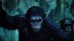 Dawn of the Planet of the Apes - Trailer for Dawn of the Planet of the Apes