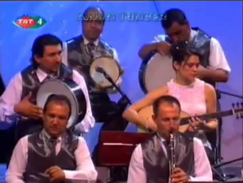 Ayşe TAŞ-Yollar Uzak Gelemedim