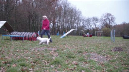 Eclipse ateliers ECV 58th Running DW 2013-12-18