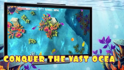 EVOFISH Wii U - Trailer 01