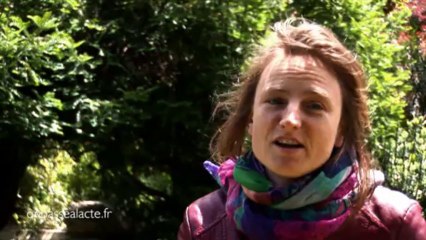 J'ai décidé de fleurir les trottoirs de ma ville (version courte)