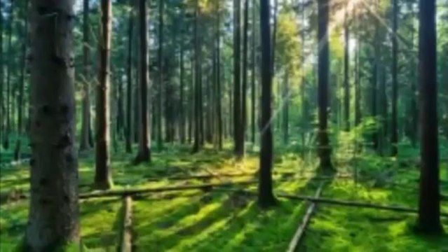 Classical Music Vol. 1 Johann Sebastian Bach Air on the G String