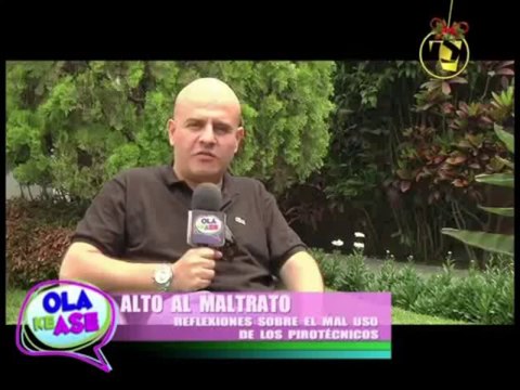 Alto al Maltrato: sonidos de fuegos artificiales causan grave daño a mascotas