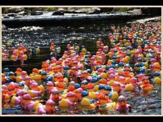 All Ducked Out by The Electric Trunk