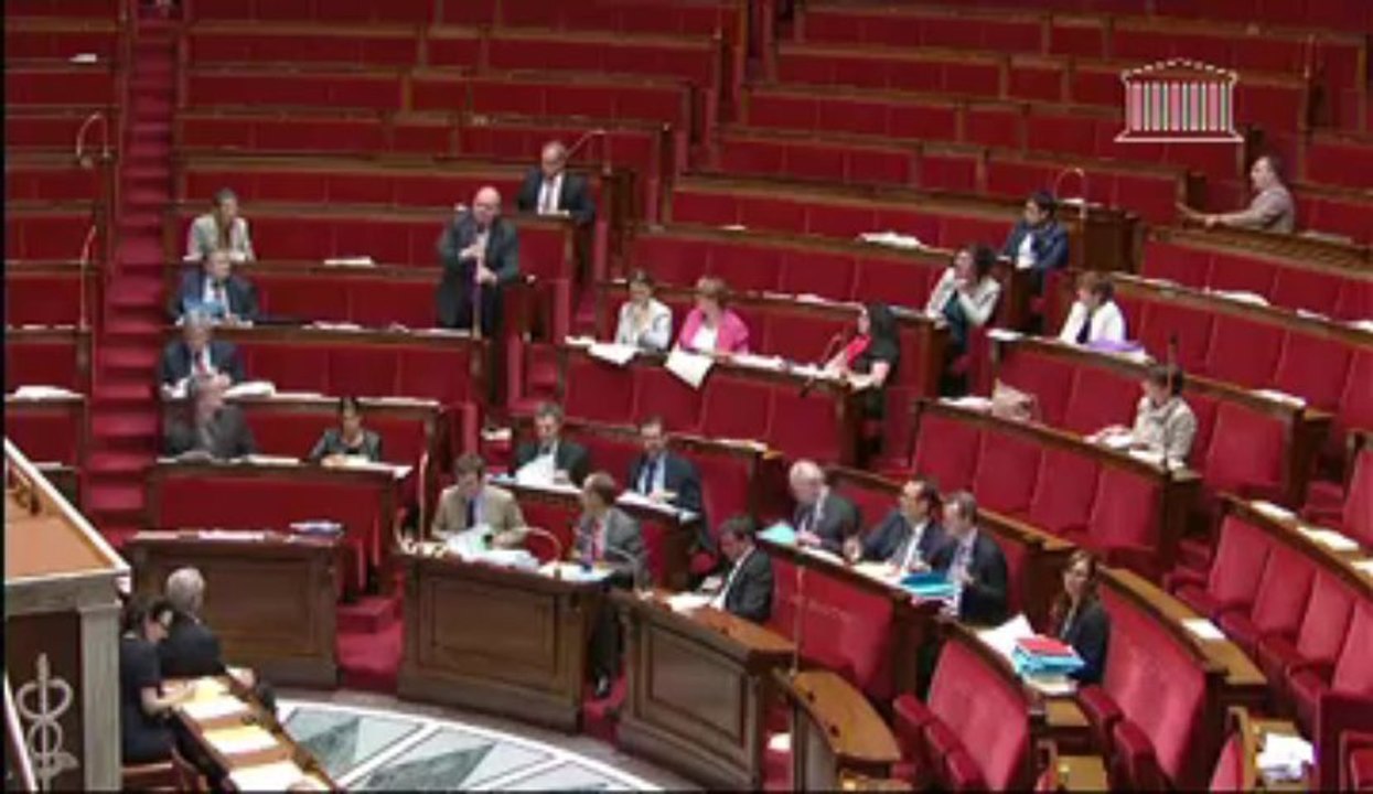 INTERDICTION DU CUMUL DE FONCTIONS EXÉCUTIVESLOCALES AVEC LE MANDAT DE REPRÉSENTANT AU PARLEMENT EUROPÉEN (suite) - Jeudi 4 Juillet 2013