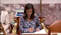 RÈGLEMENT DU BUDGET ET APPROBATION DES COMPTES DE L'ANNÉE 2012 (suite) - Mardi 2 Juillet 2013