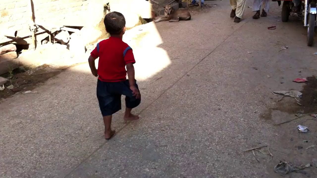 Amir Hamza & Street Dog