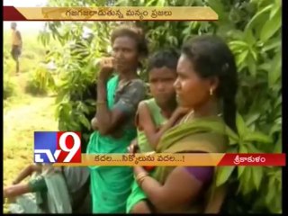 Tribals fear with elephant attacks in Srikakulam