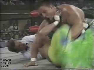 Randy savage vs Scott Norton