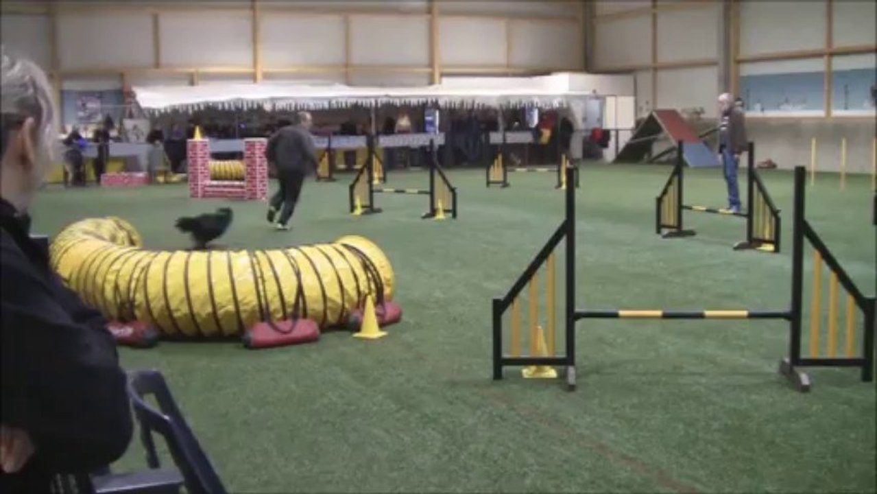 winter cup decembre 2013