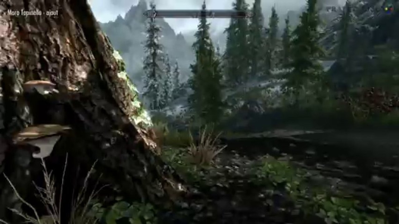 Frapsoluce The Elder Scroll V ; Skyrim - PC - FULL HD 1080p - Partie 9