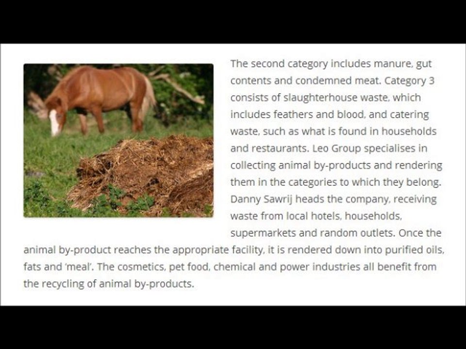 Leo Group and Danny Sawrij l Recycling Animal By-Products