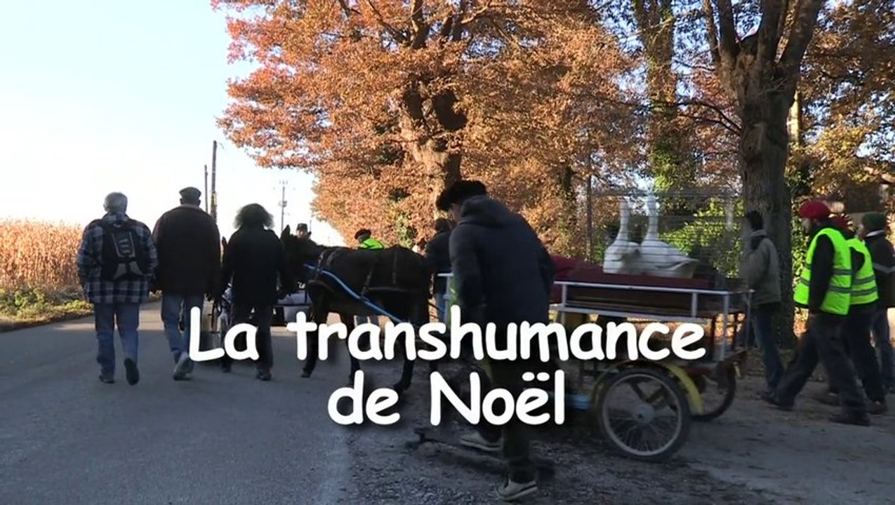 La Transhumance de Noël