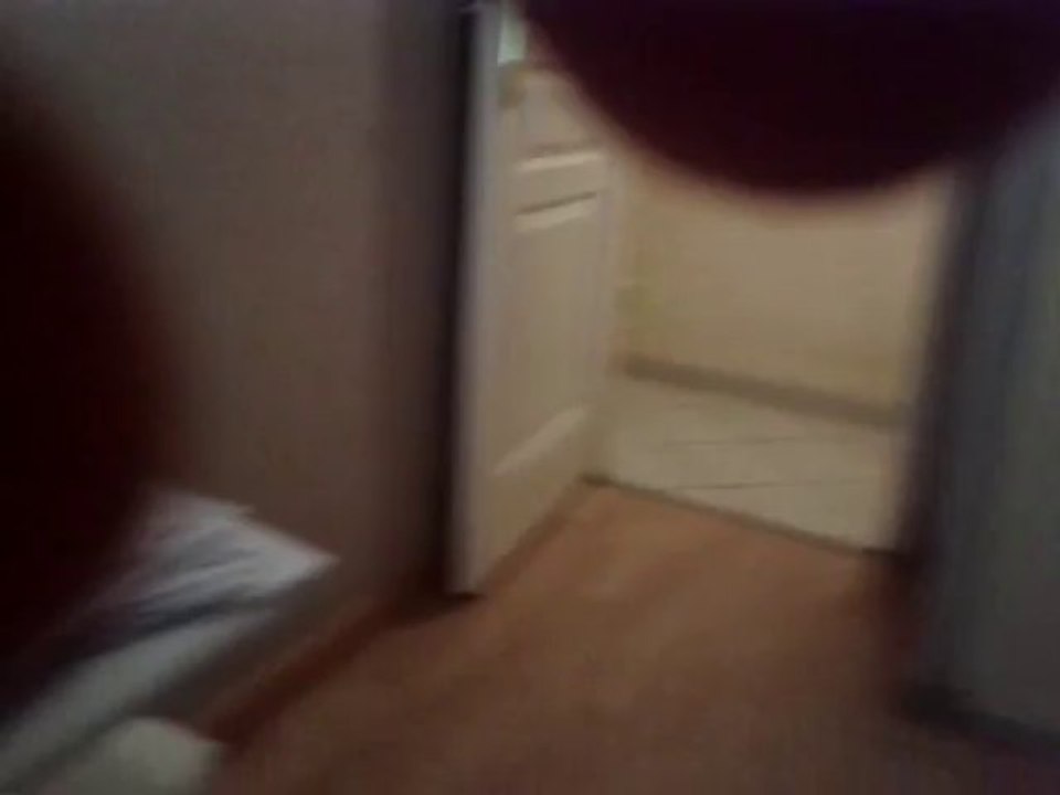 Ma Calopsitte eam (1an et demi)