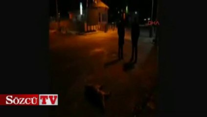 Kapanan yolları açan ekibe kurt saldırdı